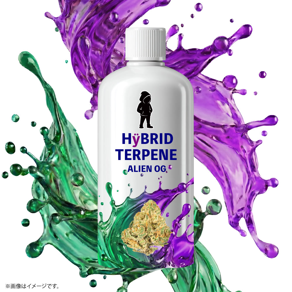 ハイブリッド テルペン 2種セット（Jack Herer / Alien OG）各1ml 合計2ml プロファイル比較用